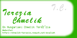 terezia chmelik business card